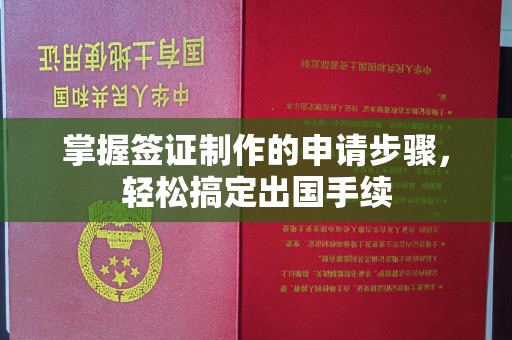 紫阳掌握签证制作的申请步骤，轻松搞定出国手续